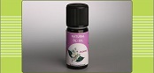 Жасмин, эфирное масло Вивасан, стимулирует выработку тироксина и трийодтиронина